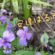 ヒメ日記 2026/04/05 16:15 投稿 安達 はるか SUMIRE