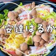 ヒメ日記 2026/04/17 06:30 投稿 安達 はるか SUMIRE