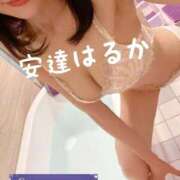 ヒメ日記 2026/04/24 09:30 投稿 安達 はるか SUMIRE