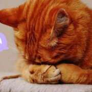 ヒメ日記 2026/01/29 13:00 投稿 吉野 鶯谷デッドボール