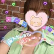 ヒメ日記 2026/04/04 18:58 投稿 遠山あゆみ なめこ治療院（横浜ハレ系）