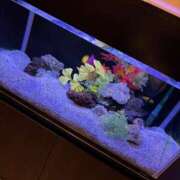 ヒメ日記 2025/11/26 13:46 投稿 あい 新潟市鳥屋野潟ちゃんこ