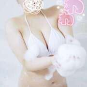 ヒメ日記 2025/11/02 12:01 投稿 はるき ぷるるん小町日本橋店