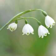 ヒメ日記 2025/10/30 23:57 投稿 ましろ 川崎三浦屋