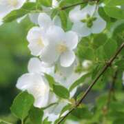 ヒメ日記 2025/11/01 22:47 投稿 ましろ 川崎三浦屋