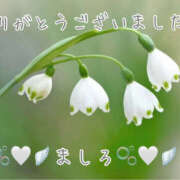 ヒメ日記 2025/11/06 22:00 投稿 ましろ 川崎三浦屋