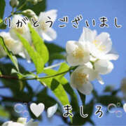 ヒメ日記 2025/11/12 22:10 投稿 ましろ 川崎三浦屋