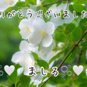 ヒメ日記 2025/11/19 22:18 投稿 ましろ 川崎三浦屋