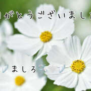 ヒメ日記 2025/11/20 22:15 投稿 ましろ 川崎三浦屋