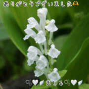 ヒメ日記 2025/11/29 22:25 投稿 ましろ 川崎三浦屋