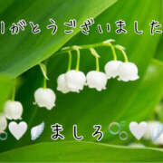 ヒメ日記 2025/11/30 23:13 投稿 ましろ 川崎三浦屋