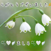 ヒメ日記 2025/12/24 02:18 投稿 ましろ 川崎三浦屋