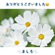 ヒメ日記 2025/12/26 01:43 投稿 ましろ 川崎三浦屋