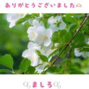 ヒメ日記 2025/12/29 23:16 投稿 ましろ 川崎三浦屋