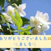 ヒメ日記 2026/01/11 23:15 投稿 ましろ 川崎三浦屋