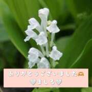 ヒメ日記 2026/01/12 22:39 投稿 ましろ 川崎三浦屋