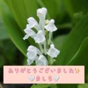 ヒメ日記 2026/01/19 12:12 投稿 ましろ 川崎三浦屋