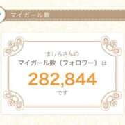 ヒメ日記 2026/01/31 11:35 投稿 ましろ 川崎三浦屋