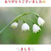 ヒメ日記 2026/01/31 23:04 投稿 ましろ 川崎三浦屋