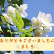 ヒメ日記 2026/07/17 21:32 投稿 ましろ 川崎三浦屋
