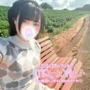 ヒメ日記 2025/10/12 17:20 投稿 みと 沼津人妻花壇