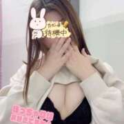 ヒメ日記 2026/02/04 15:41 投稿 なち One More奥様　横浜関内店