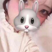 ヒメ日記 2025/11/24 12:05 投稿 まむ ドMなバニーちゃん すすきの店