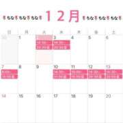 ヒメ日記 2025/12/02 12:45 投稿 ちな 若葉