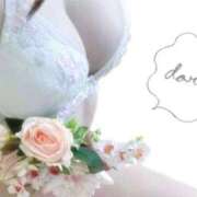 ヒメ日記 2025/12/03 19:01 投稿 ちな 若葉