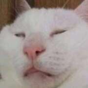 ヒメ日記 2025/11/16 08:54 投稿 倉永のろ しこたま奥様　熊本店