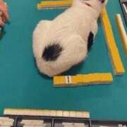 倉永のろ 🀄 しこたま奥様　熊本店