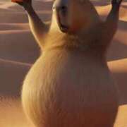 ヒメ日記 2025/12/09 09:35 投稿 倉永のろ しこたま奥様　熊本店