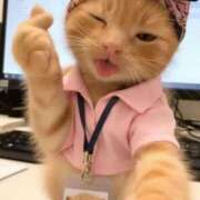 ヒメ日記 2025/12/11 17:38 投稿 倉永のろ しこたま奥様　熊本店