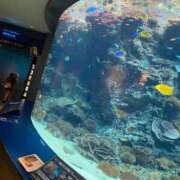 ヒメ日記 2026/01/21 20:06 投稿 かのん SAPPORO ばつぐんnet