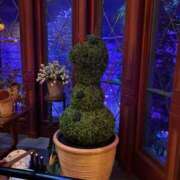 かのん 明日明後日会えちゃうよ！💟 SAPPORO ばつぐんnet