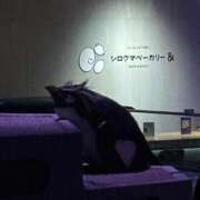 ヒメ日記 2026/03/01 13:36 投稿 かのん SAPPORO ばつぐんnet