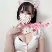 ヒメ日記 2025/12/06 12:11 投稿 きゅあ ホワイトハウス