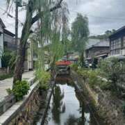 ヒメ日記 2025/11/24 12:16 投稿 みるん しゃんぜりぜ