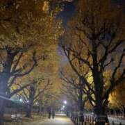 ヒメ日記 2025/11/24 23:36 投稿 みるん しゃんぜりぜ