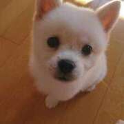 ヒメ日記 2025/11/28 09:40 投稿 みるん しゃんぜりぜ