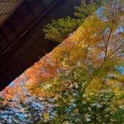 みるん こんな時間にた しゃんぜりぜ