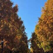 みるん さむっ😨 しゃんぜりぜ