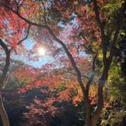 ヒメ日記 2025/12/07 12:24 投稿 みるん しゃんぜりぜ