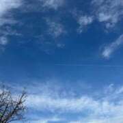 ヒメ日記 2026/01/17 12:31 投稿 みるん しゃんぜりぜ