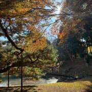 ヒメ日記 2026/01/19 08:35 投稿 みるん しゃんぜりぜ