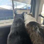 ヒメ日記 2026/01/20 11:45 投稿 みるん しゃんぜりぜ