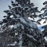 ヒメ日記 2026/03/08 08:28 投稿 みるん しゃんぜりぜ