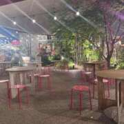 ヒメ日記 2026/04/17 12:32 投稿 みるん しゃんぜりぜ