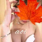 ヒメ日記 2025/11/04 14:39 投稿 碧(あおい) 麗しい人妻 新宿本店