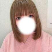 ヒメ日記 2025/12/15 12:30 投稿 ネリネ 飾窓